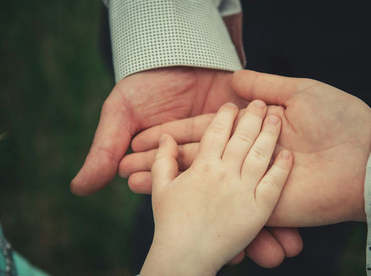 Willing Law Professional Corporation