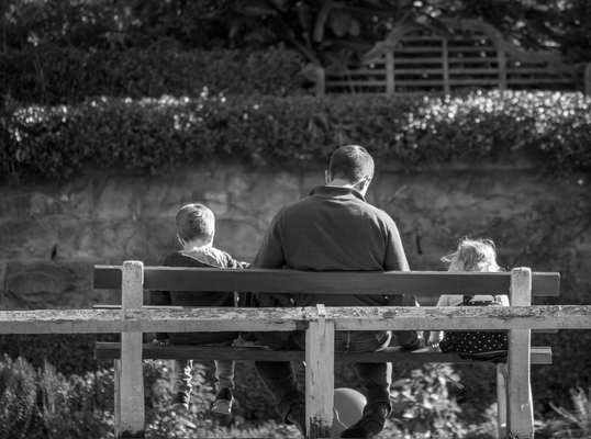 Willing Law Professional Corporation