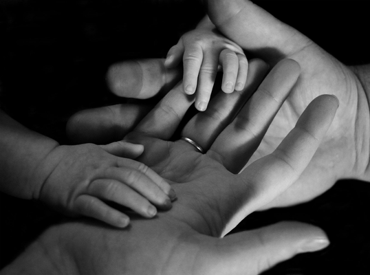 Willing Law Professional Corporation