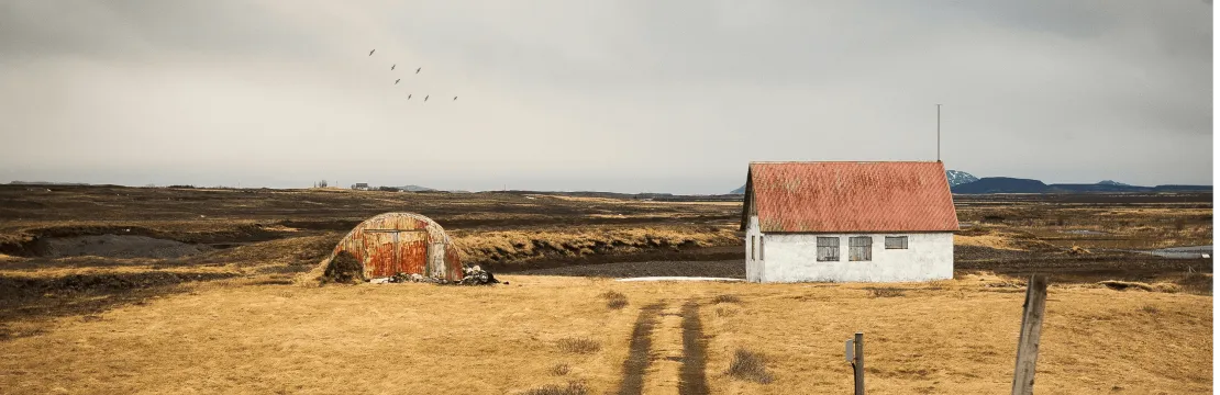 Willing Law Professional Corporation